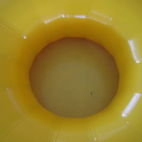 Inflatable water ringGW120