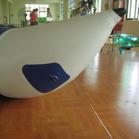 Inflatable Banana BoatGW138