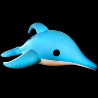 Inflatable dolphinGW151