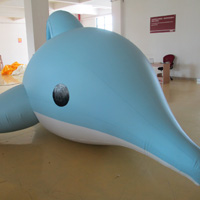 Inflatable dolphinGW151