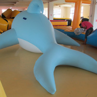 Inflatable dolphinGW151