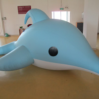 Inflatable dolphinGW151