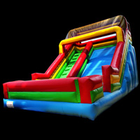 [GI105]Backyard inflatable slide